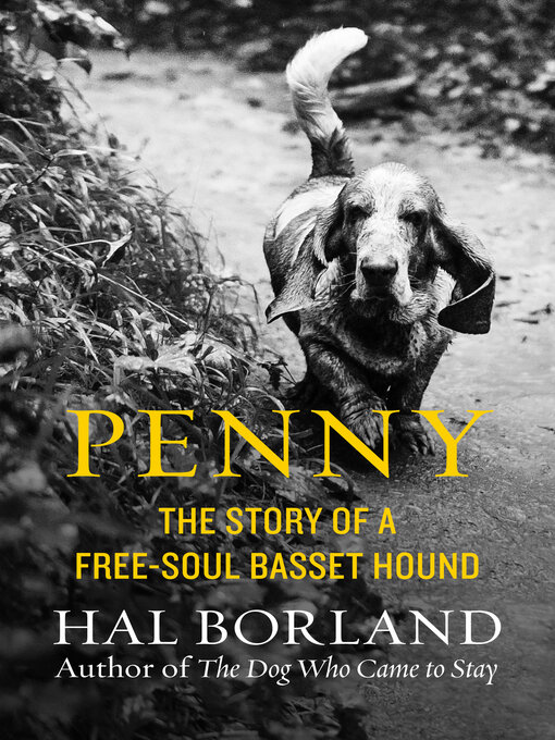 Title details for Penny by Hal Borland - Available